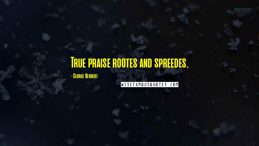 George Herbert Quotes: True praise rootes and spreedes.