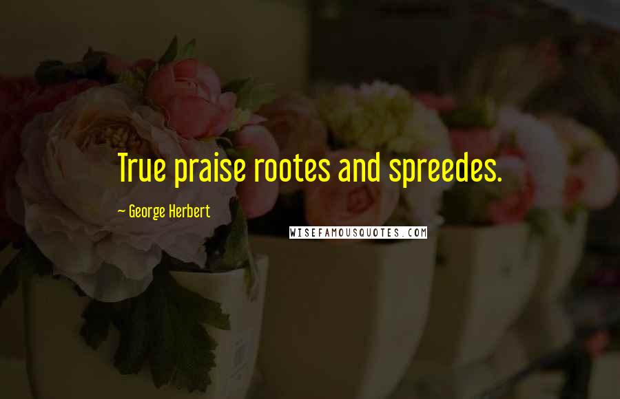 George Herbert Quotes: True praise rootes and spreedes.