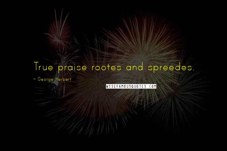 George Herbert Quotes: True praise rootes and spreedes.