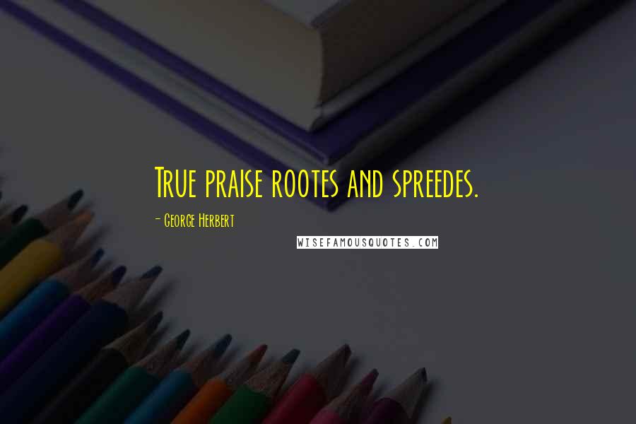 George Herbert Quotes: True praise rootes and spreedes.