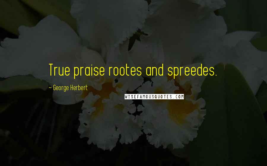 George Herbert Quotes: True praise rootes and spreedes.