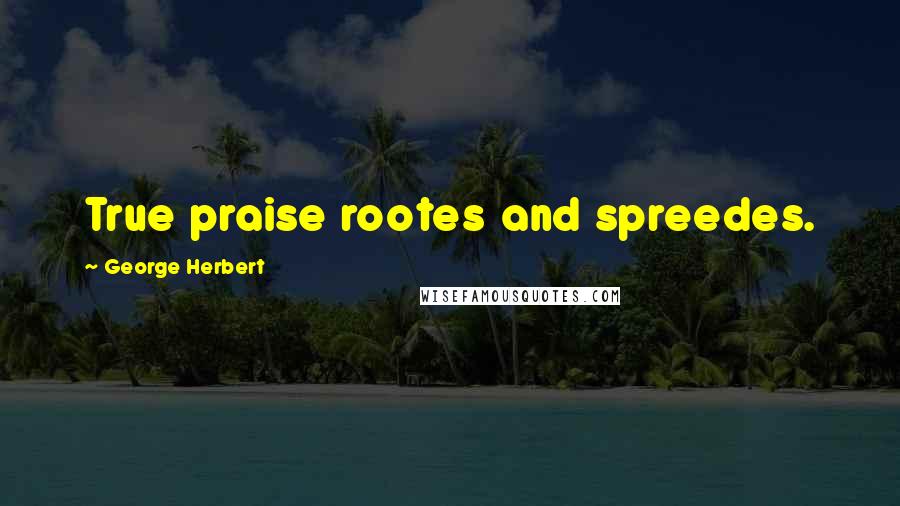 George Herbert Quotes: True praise rootes and spreedes.