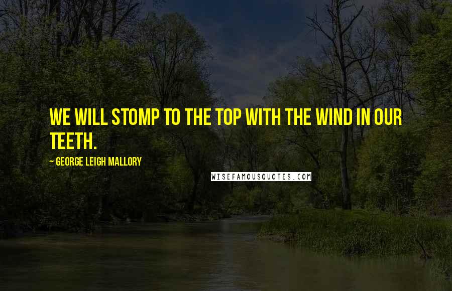 George Leigh Mallory Quotes: We will stomp to the top with the wind in our teeth.