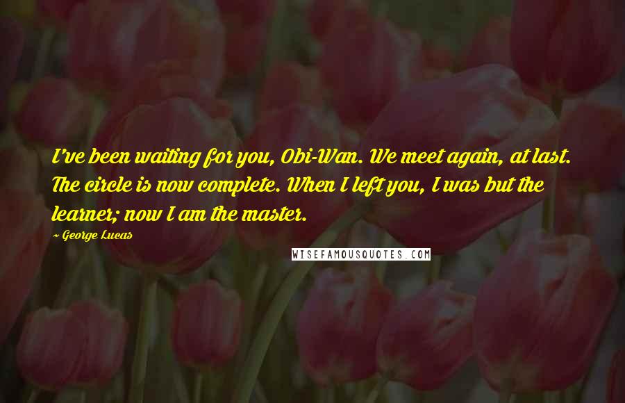 George Lucas Quotes: I've been waiting for you, Obi-Wan. We meet again, at last. The circle is now complete. When I left you, I was but the learner; now I am the master.