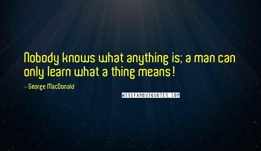 George MacDonald Quotes: Nobody knows what anything is; a man can only learn what a thing means!