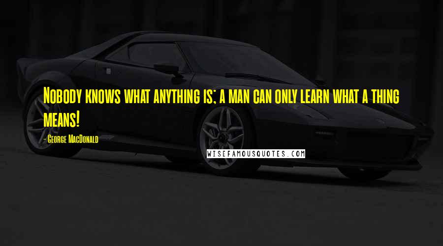 George MacDonald Quotes: Nobody knows what anything is; a man can only learn what a thing means!