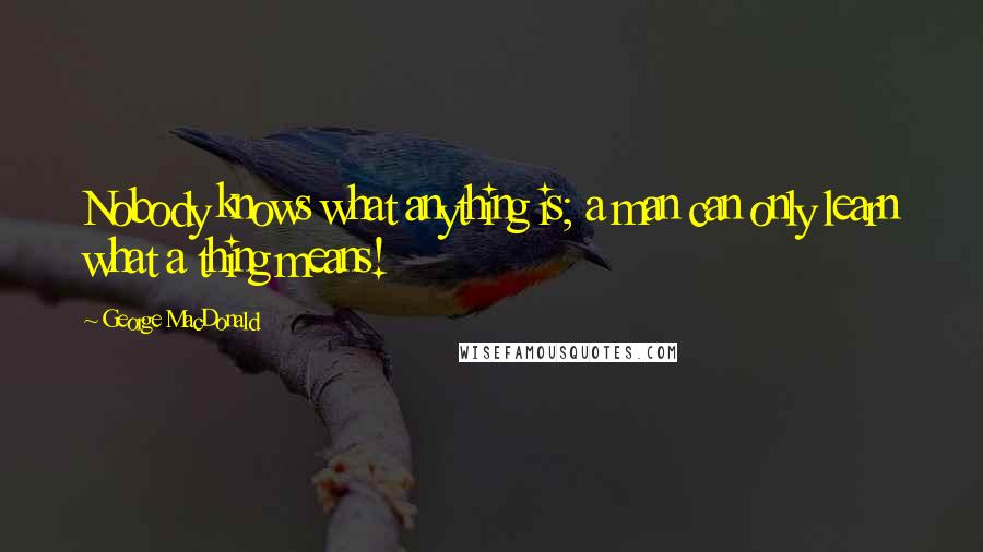 George MacDonald Quotes: Nobody knows what anything is; a man can only learn what a thing means!