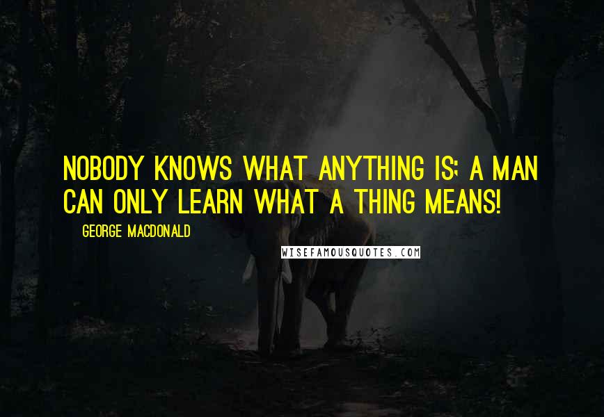 George MacDonald Quotes: Nobody knows what anything is; a man can only learn what a thing means!