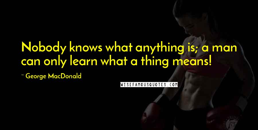 George MacDonald Quotes: Nobody knows what anything is; a man can only learn what a thing means!