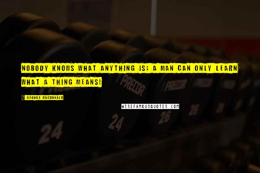 George MacDonald Quotes: Nobody knows what anything is; a man can only learn what a thing means!