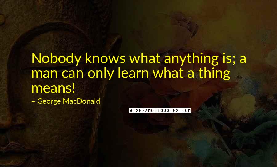 George MacDonald Quotes: Nobody knows what anything is; a man can only learn what a thing means!