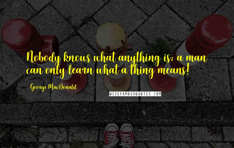 George MacDonald Quotes: Nobody knows what anything is; a man can only learn what a thing means!