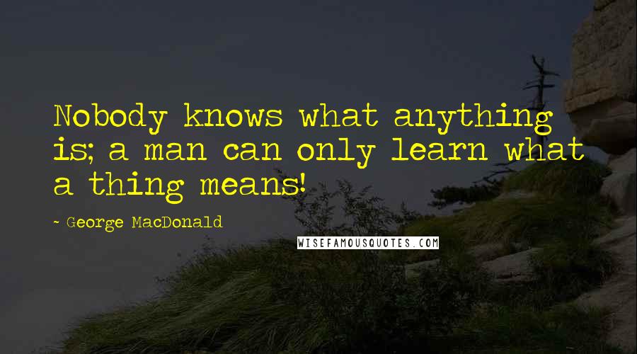 George MacDonald Quotes: Nobody knows what anything is; a man can only learn what a thing means!