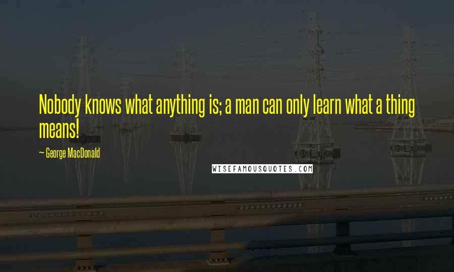 George MacDonald Quotes: Nobody knows what anything is; a man can only learn what a thing means!