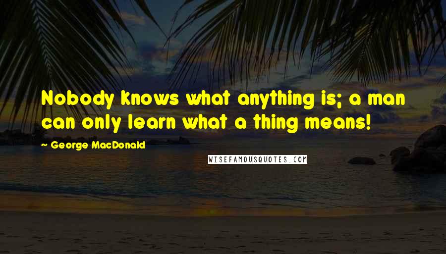 George MacDonald Quotes: Nobody knows what anything is; a man can only learn what a thing means!