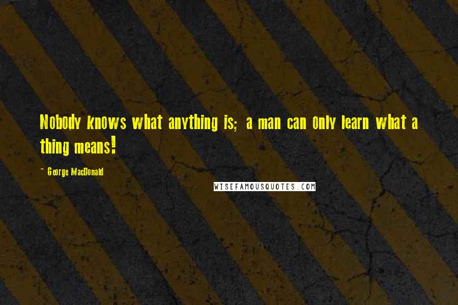 George MacDonald Quotes: Nobody knows what anything is; a man can only learn what a thing means!