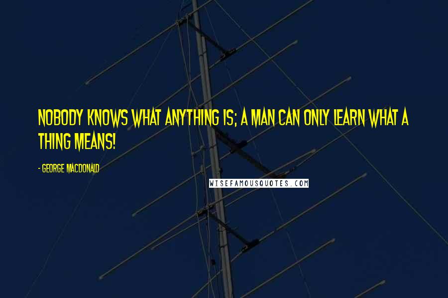 George MacDonald Quotes: Nobody knows what anything is; a man can only learn what a thing means!