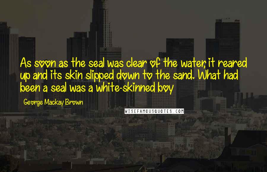 George Mackay Brown Quotes: As soon as the seal was clear of the water, it reared up and its skin slipped down to the sand. What had been a seal was a white-skinned boy