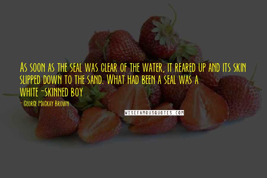 George Mackay Brown Quotes: As soon as the seal was clear of the water, it reared up and its skin slipped down to the sand. What had been a seal was a white-skinned boy