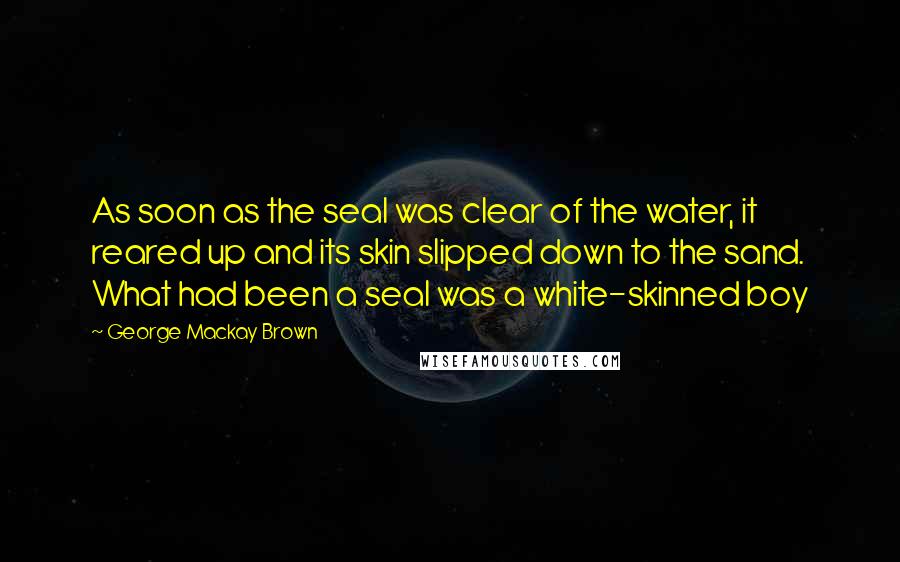 George Mackay Brown Quotes: As soon as the seal was clear of the water, it reared up and its skin slipped down to the sand. What had been a seal was a white-skinned boy