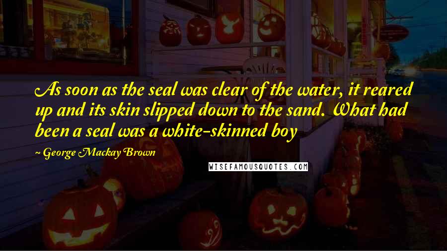 George Mackay Brown Quotes: As soon as the seal was clear of the water, it reared up and its skin slipped down to the sand. What had been a seal was a white-skinned boy