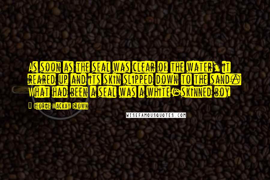 George Mackay Brown Quotes: As soon as the seal was clear of the water, it reared up and its skin slipped down to the sand. What had been a seal was a white-skinned boy