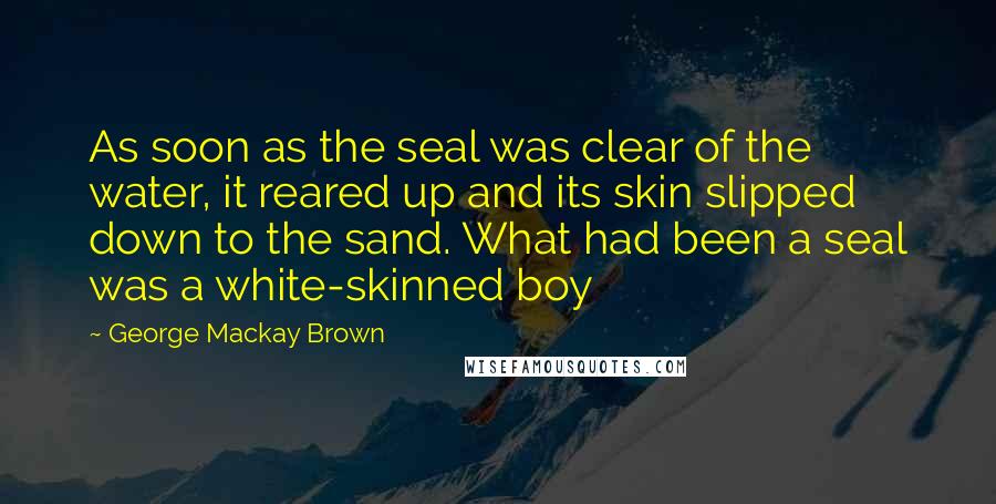 George Mackay Brown Quotes: As soon as the seal was clear of the water, it reared up and its skin slipped down to the sand. What had been a seal was a white-skinned boy