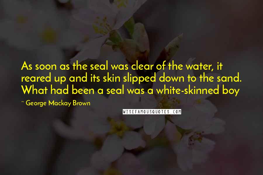 George Mackay Brown Quotes: As soon as the seal was clear of the water, it reared up and its skin slipped down to the sand. What had been a seal was a white-skinned boy