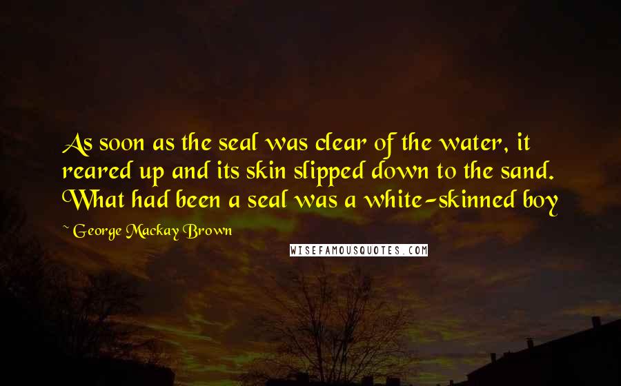 George Mackay Brown Quotes: As soon as the seal was clear of the water, it reared up and its skin slipped down to the sand. What had been a seal was a white-skinned boy