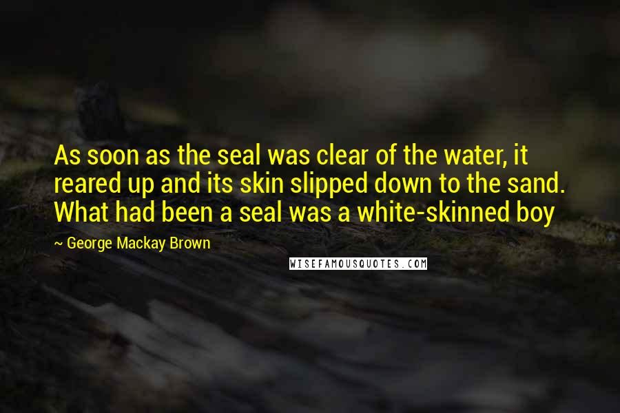 George Mackay Brown Quotes: As soon as the seal was clear of the water, it reared up and its skin slipped down to the sand. What had been a seal was a white-skinned boy