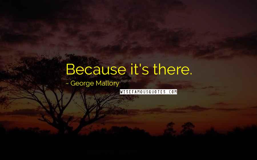 George Mallory Quotes: Because it's there.