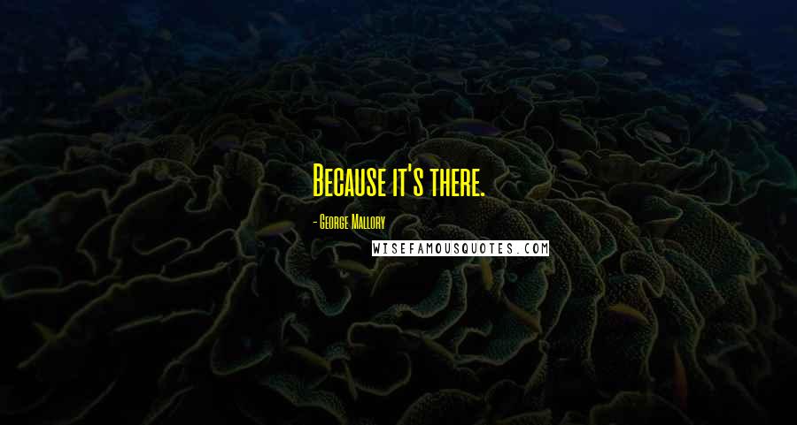 George Mallory Quotes: Because it's there.