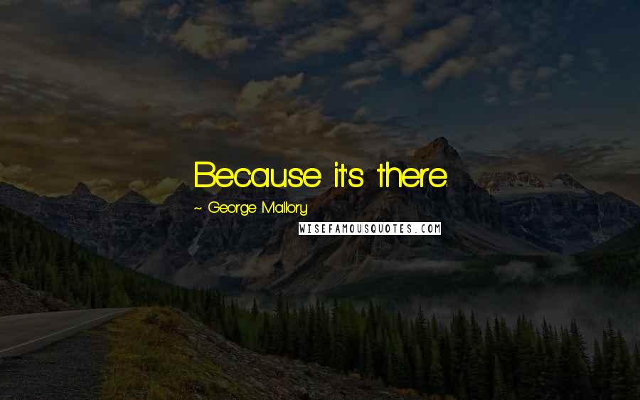 George Mallory Quotes: Because it's there.