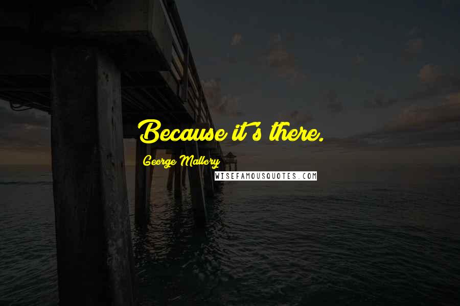 George Mallory Quotes: Because it's there.