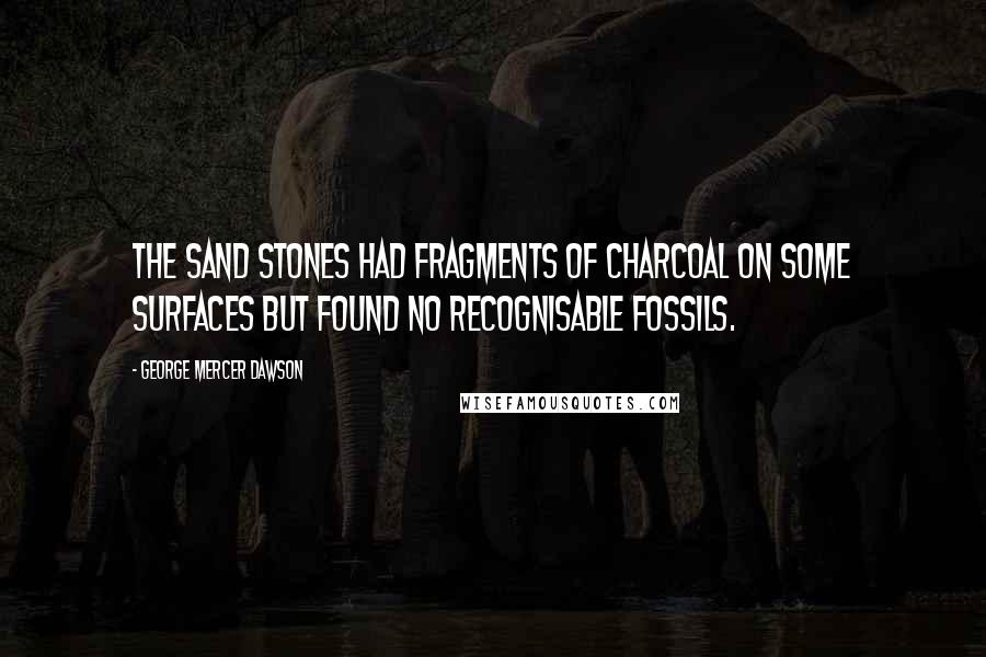 George Mercer Dawson Quotes: The sand stones had fragments of charcoal on some surfaces but found no recognisable fossils.