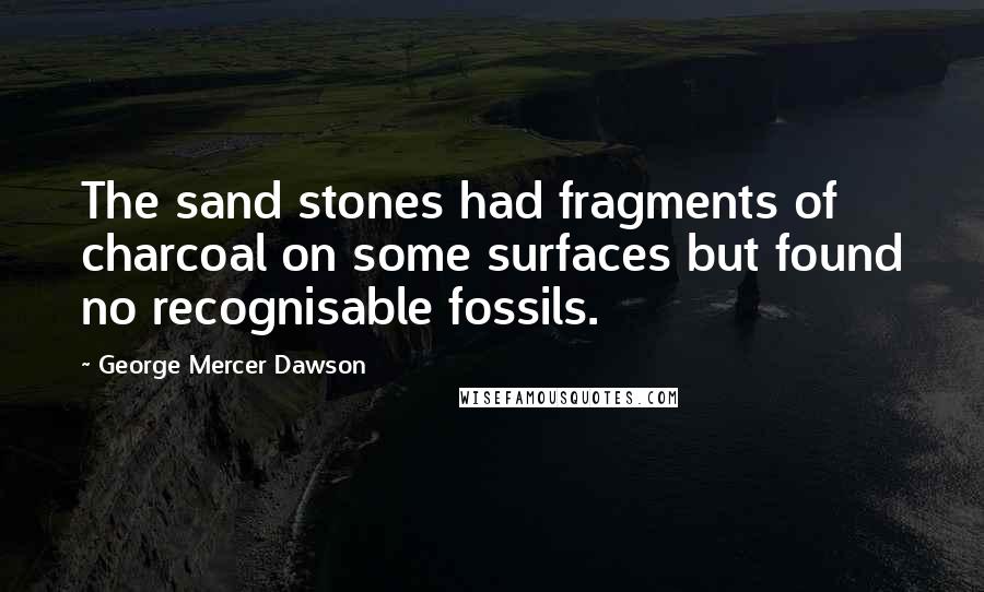 George Mercer Dawson Quotes: The sand stones had fragments of charcoal on some surfaces but found no recognisable fossils.