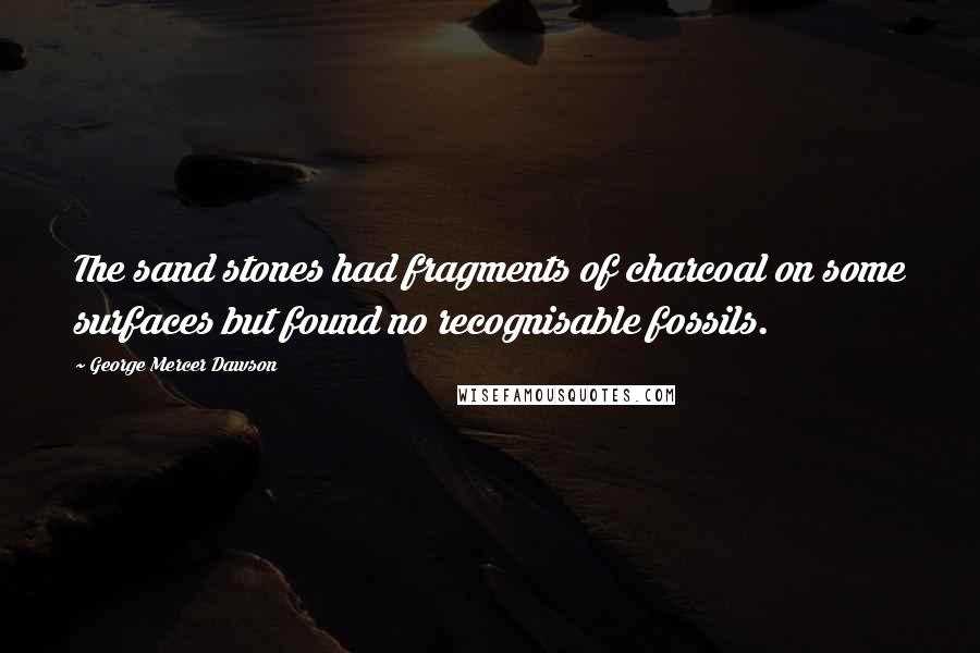 George Mercer Dawson Quotes: The sand stones had fragments of charcoal on some surfaces but found no recognisable fossils.