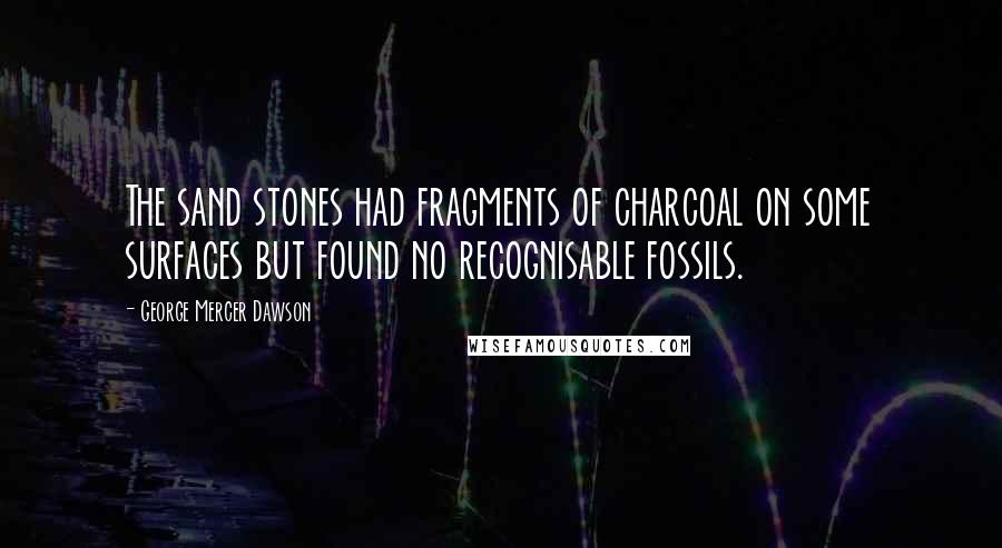 George Mercer Dawson Quotes: The sand stones had fragments of charcoal on some surfaces but found no recognisable fossils.