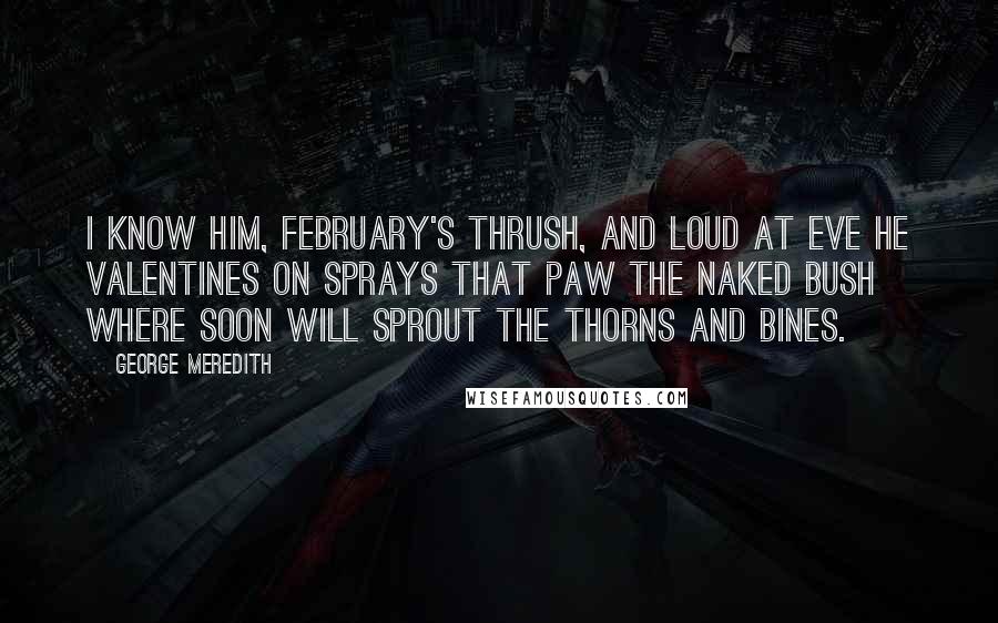 George Meredith Quotes: I know him, February's thrush, And loud at eve he valentines On sprays that paw the naked bush Where soon will sprout the thorns and bines.