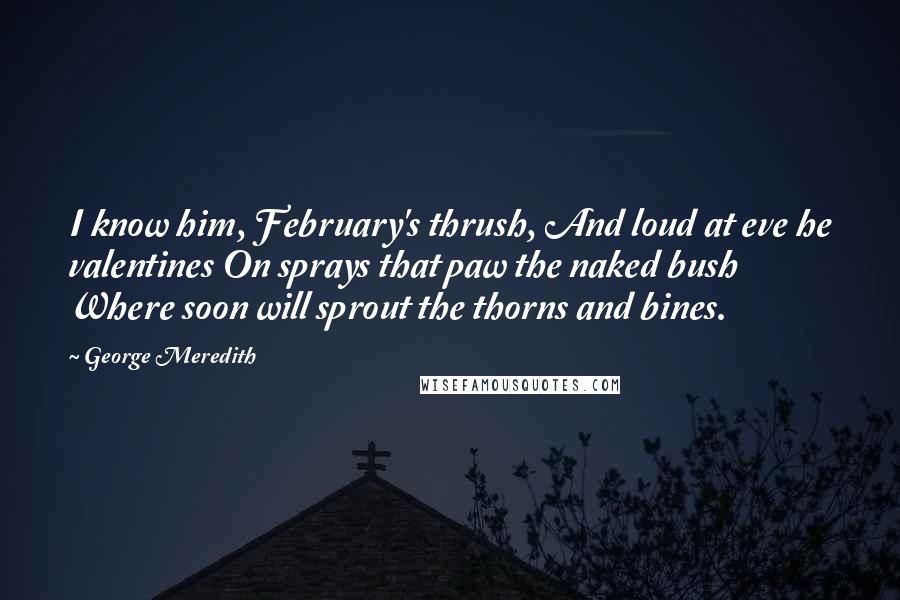 George Meredith Quotes: I know him, February's thrush, And loud at eve he valentines On sprays that paw the naked bush Where soon will sprout the thorns and bines.