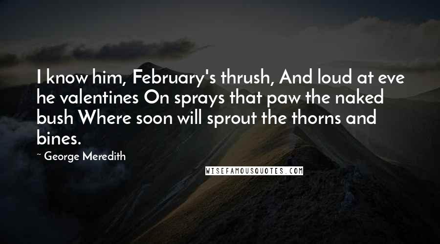 George Meredith Quotes: I know him, February's thrush, And loud at eve he valentines On sprays that paw the naked bush Where soon will sprout the thorns and bines.