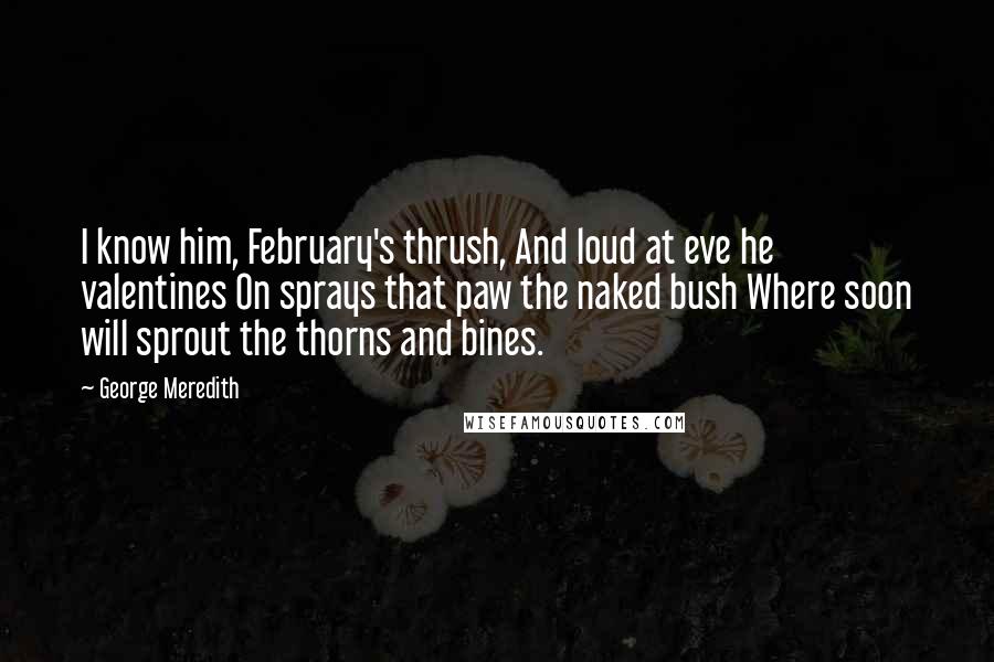 George Meredith Quotes: I know him, February's thrush, And loud at eve he valentines On sprays that paw the naked bush Where soon will sprout the thorns and bines.