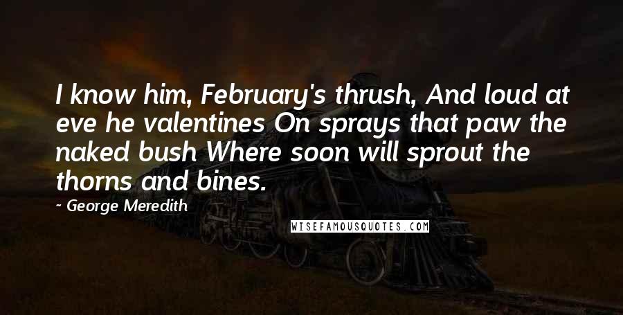 George Meredith Quotes: I know him, February's thrush, And loud at eve he valentines On sprays that paw the naked bush Where soon will sprout the thorns and bines.