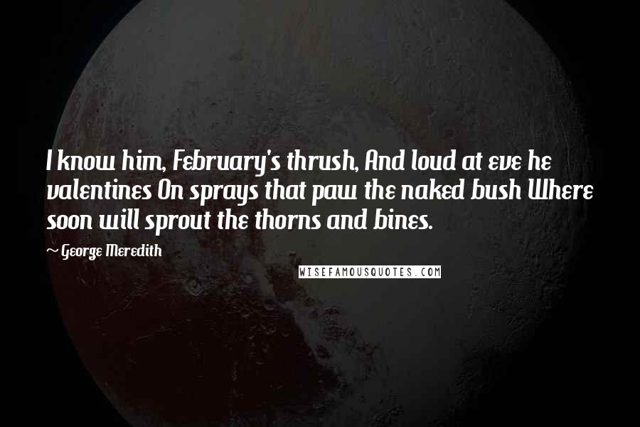George Meredith Quotes: I know him, February's thrush, And loud at eve he valentines On sprays that paw the naked bush Where soon will sprout the thorns and bines.