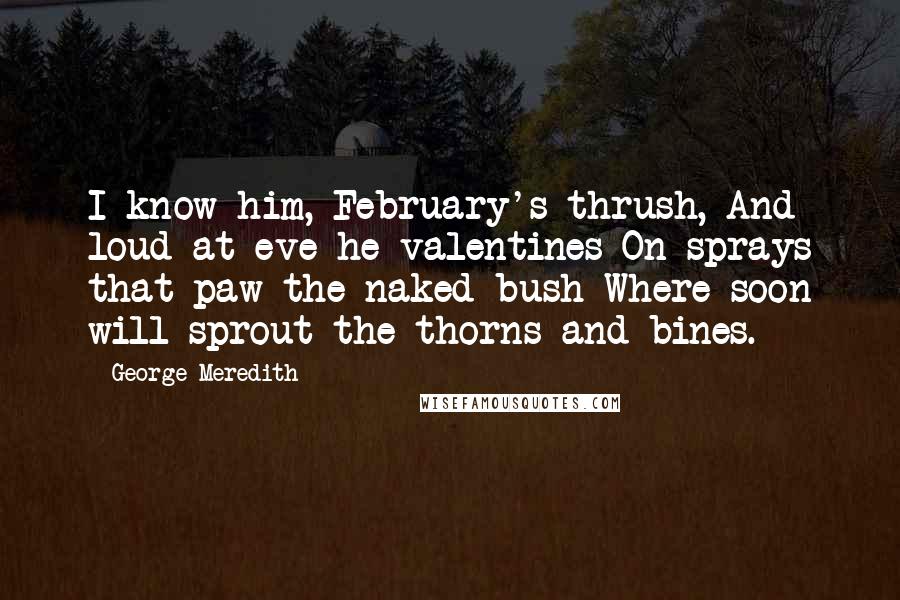 George Meredith Quotes: I know him, February's thrush, And loud at eve he valentines On sprays that paw the naked bush Where soon will sprout the thorns and bines.