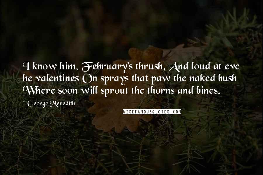 George Meredith Quotes: I know him, February's thrush, And loud at eve he valentines On sprays that paw the naked bush Where soon will sprout the thorns and bines.