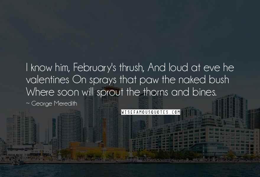 George Meredith Quotes: I know him, February's thrush, And loud at eve he valentines On sprays that paw the naked bush Where soon will sprout the thorns and bines.