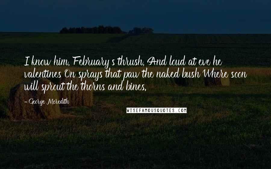 George Meredith Quotes: I know him, February's thrush, And loud at eve he valentines On sprays that paw the naked bush Where soon will sprout the thorns and bines.