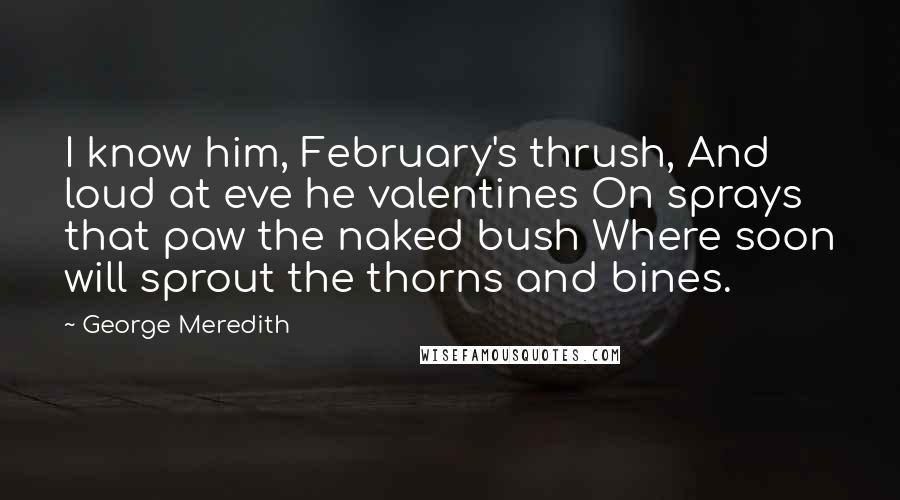 George Meredith Quotes: I know him, February's thrush, And loud at eve he valentines On sprays that paw the naked bush Where soon will sprout the thorns and bines.