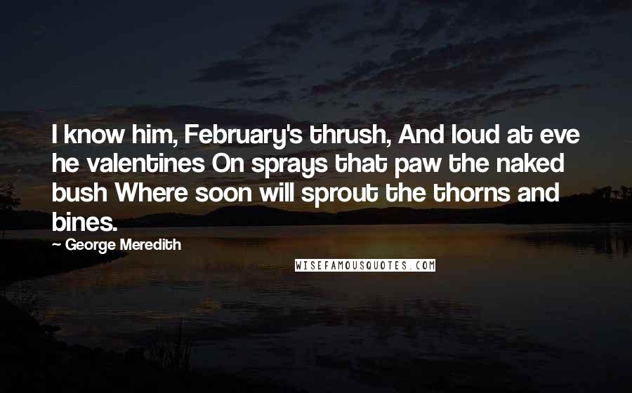 George Meredith Quotes: I know him, February's thrush, And loud at eve he valentines On sprays that paw the naked bush Where soon will sprout the thorns and bines.